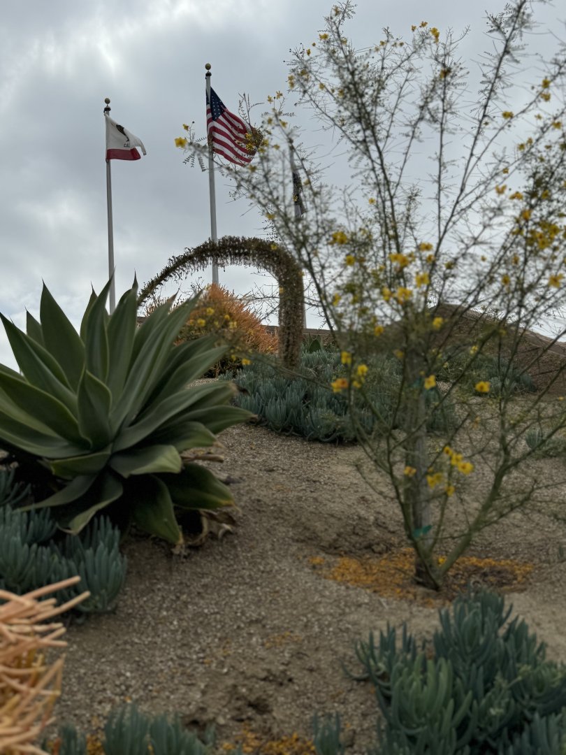 Water efficient landscaping at YLWD facility